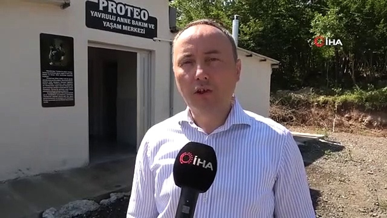 'Proteo' fournit un service aux courses interdites au Centre pour les soins maternels et la vie avec les chiots