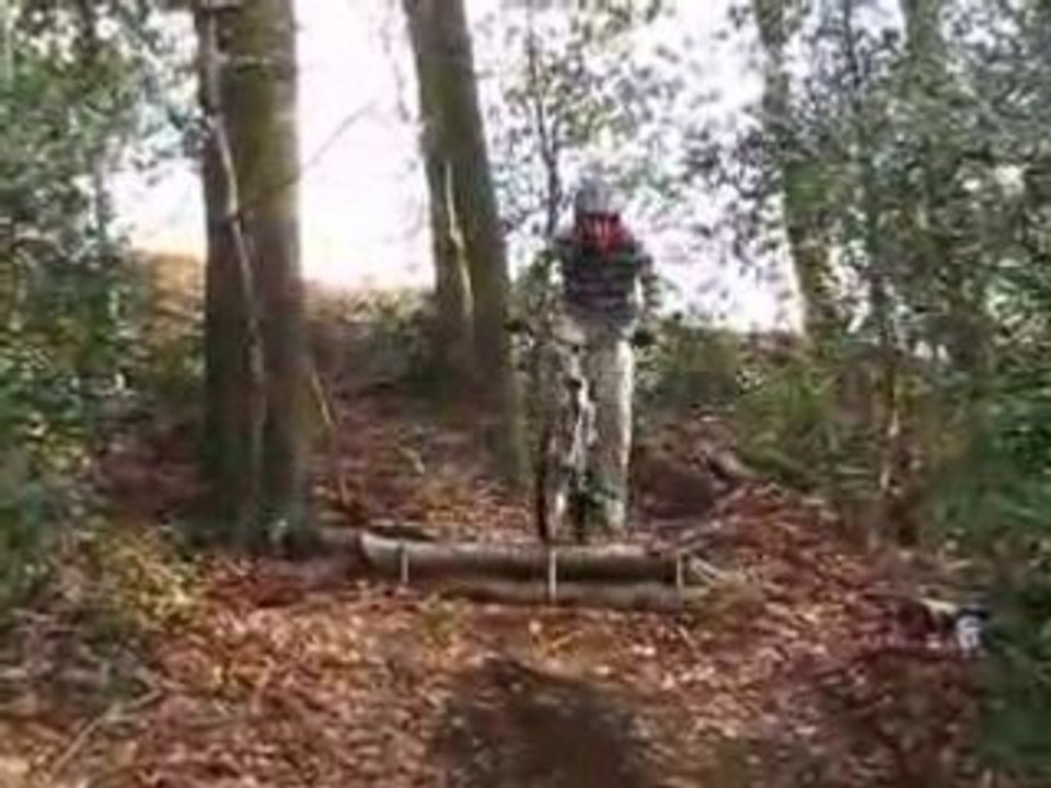 DH Spy 25