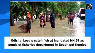 Odisha: Locals catch fish at inundated NH 57 as ponds of fisheries department get flooded