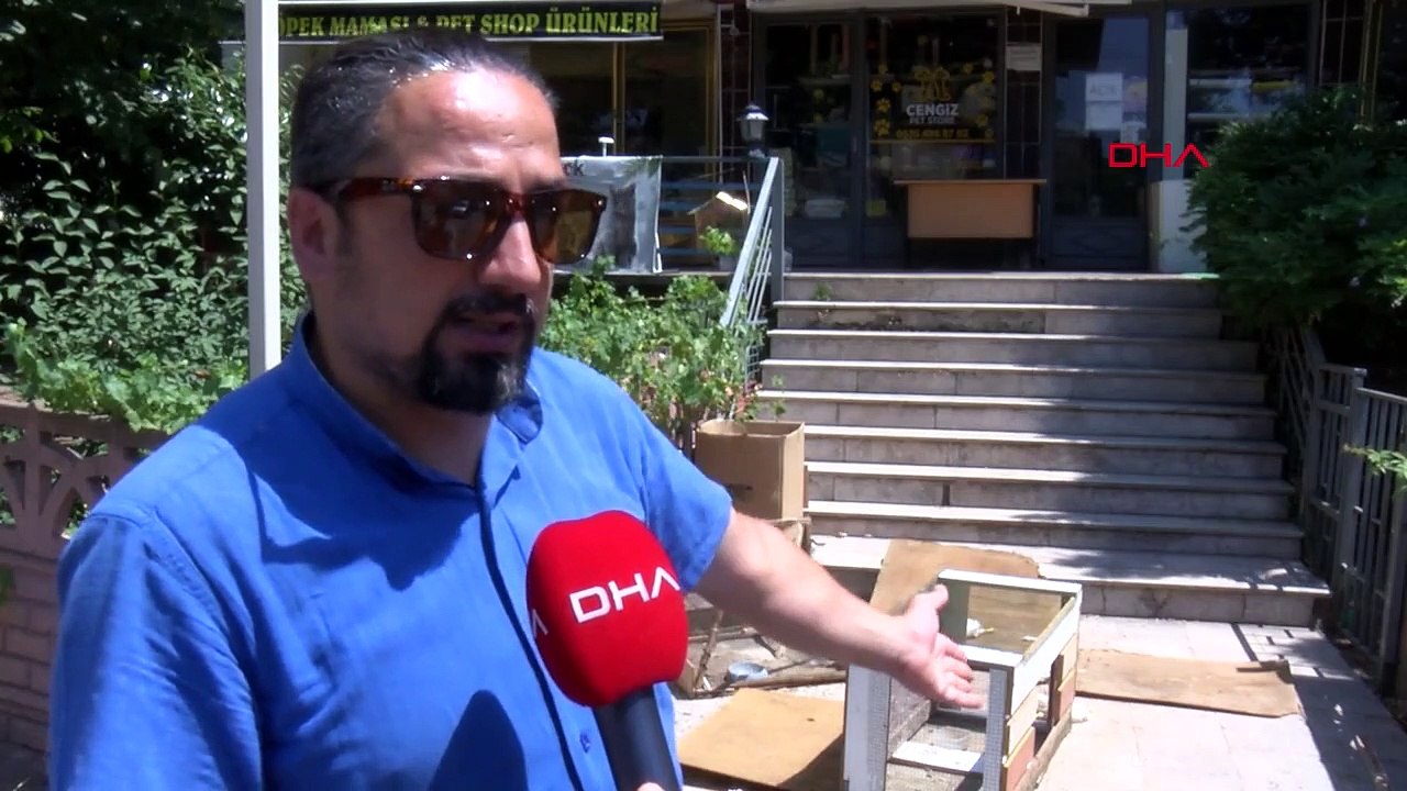 Ils ont tué les animaux nourris devant l'animalerie de Kocaeli