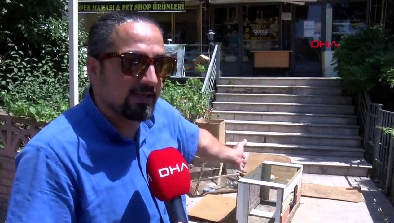Ils ont tué les animaux nourris devant l'animalerie de Kocaeli