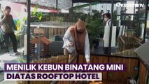 Serunya Bermain di Kebun Binatang Mini yang Berada di Rooftop Hotel