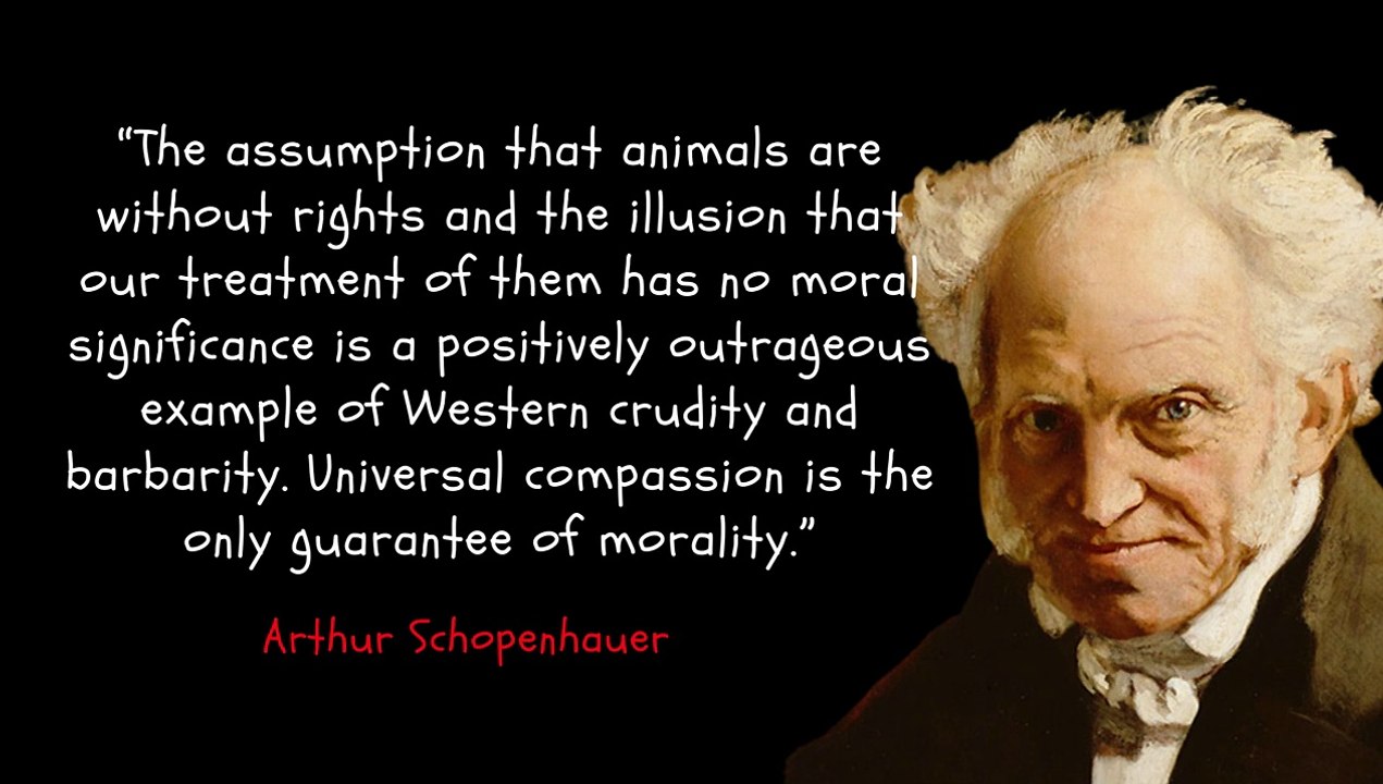 Unlocking the Power of Arthur Schopenhauer's Quotes