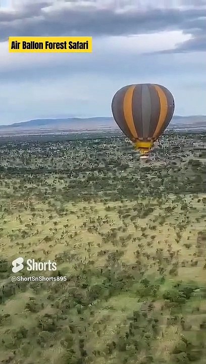 Air Ballon Forest Safari at Serengeti National Park _ World famous _ Tanzania #shorts