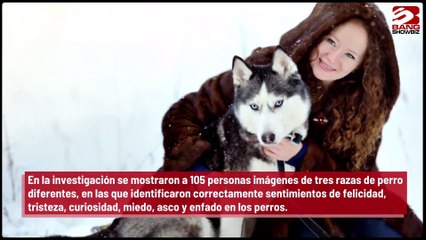 Los humanos pueden saber cómo se sienten sus perros