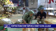 Komunitas Keluarga Kucing Lampung Rela Kontrak Rumah Demi Rawat Kucing Jalanan yang Sakit!