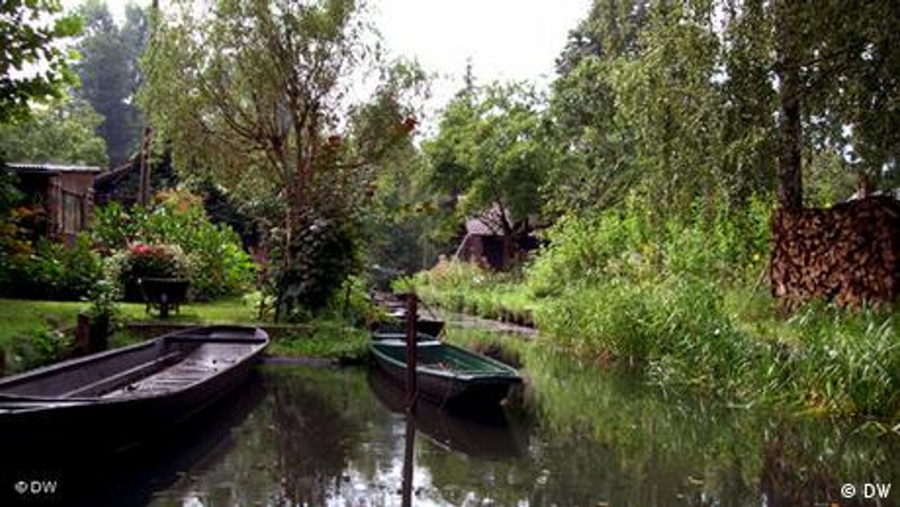 Was rettet den Spreewald?