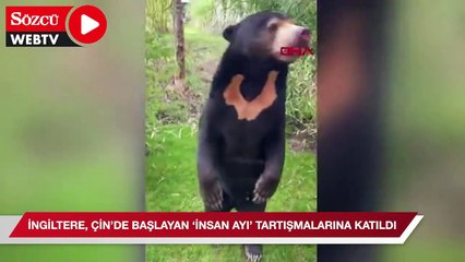 İngiltere, Çin'de başlayan 'insan ayı' tartışmalarına katıldı