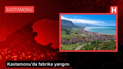 Kastamonu'da fabrika yangını