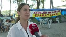 CHP Muğla Milletvekili Gizem Özcan: Ağaç Kesilen Alanın Maden Sahasına Çevrilmemesi İçin Mücadele Ediyoruz