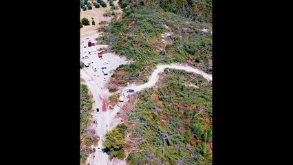 TEMA Vakfı drone görüntüleriyle Akbelen’deki ağaç katliamını gözler önüne serdi