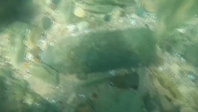 Milli Savunma Bakanlığı duyurdu: Şile sahilinde bulunan top mermileri imha edildi