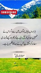 darakhat Kat Kar Dekh Lo