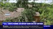 Vents violents en Charente-Maritime: un enfant de 10 ans dans un état critique, après qu'un arbre lui soit tombé sur la tête