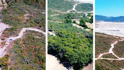 TEMA Vakfı Akbelen'de gerçekleşen kıyımı havadan görüntüledi