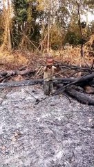 Funny moments! THE END _funnypictures _FunnyPinns -SofiaFunnyPin _FunnyOrDie _funnyordie -funnyvideos _FunnyQuotes