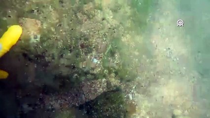 Şile sahilinde bulunan top mermileri patlatıldı