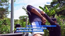 El Salvador | Unos 7000 soldados y 1000 policías ocupan la región de Cabañas
