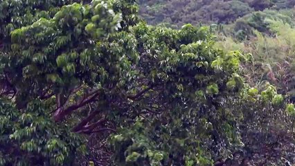 الإعصار خانون يضرب سواحل تايوان