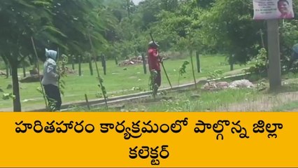 జగిత్యాల: వారితహారంలో అందరూ భాగస్వాములు కావాలి- కలెక్టర్