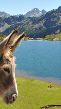 CAM - Les plus beaux lacs de France pour se baigner cet été