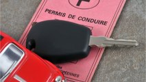 Résultats du permis de conduire : où les consulter ?