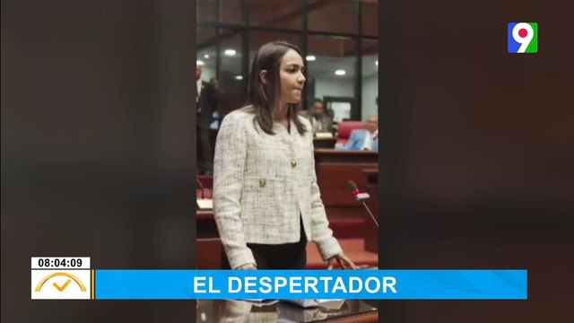Faride Raful hace denuncia sobre candidatos con procesos abiertos | El Despertador SIN