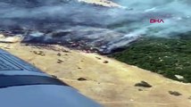 Antalya'daki orman yangını kontrol altına alındı! 2,5 hektar alan zarar gördü