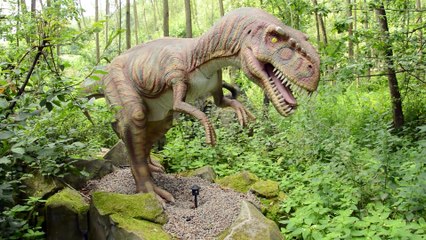 Zator - Dinozatorland, park dinozaurów, atrakcja turystyczna regionu