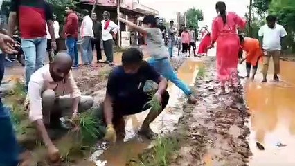 Download Video: देखो.. अनोखा प्रदर्शन, Bhilai भाजयुमो ने खराब सड़कों पर रोपा धान