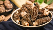Everything You Need to Know About Morel Mushrooms—Including How to Find, Wash, and Cook Them