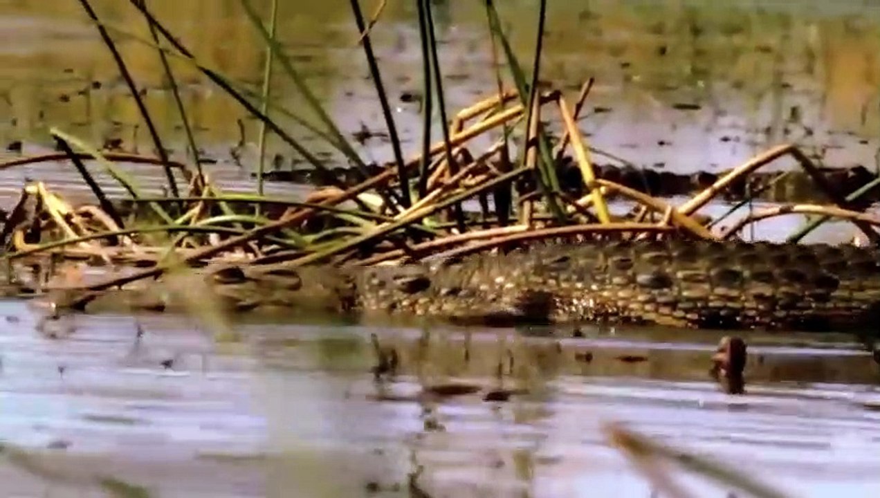 What Goes Around Comes Back Around