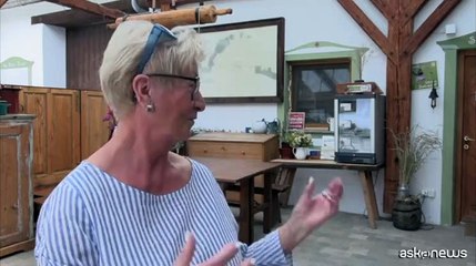 L'Austria si ribella contro piano Ue di allentare restrizioni su Ogm