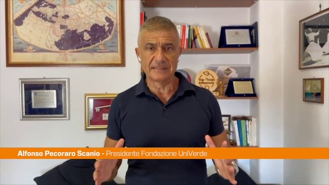 Napoli, Pecoraro Scanio Piazza Plebiscito merita valorizzazione