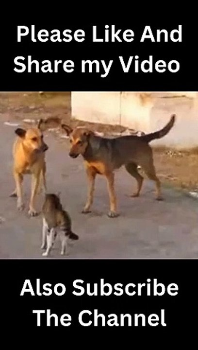 KARACHI (@ckranimals24)_10