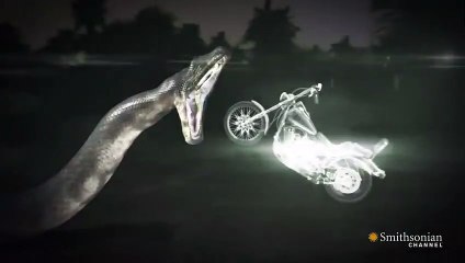 Titanoboa Monster Snake - Could Titanoboa Swallow a Motorcycle