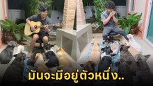 จัดดนตรีเพื่อตูบที่หน้าบ้าน แต่มันจะมีตัวหนึ่ง.. แย่งซีนเพื่อนทั้งแก๊ง !