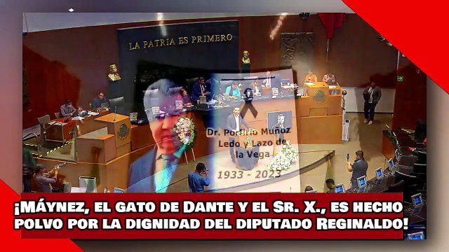¡VEAN! ¡Máynez, el gato de Dante y el Sr. X., es hecho polvo por la dignidad del diputado Reginaldo!