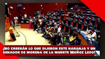 VEAN! ¡No creerán lo que dijeron este paniaguado y este senador de morena de Muñoz Ledo y su muerte!