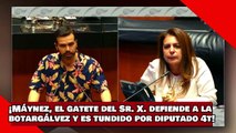 ¡VEAN! ¡Máynez, el gatete del Sr. X. defiende a la BotarGálvez y es humillado por diputado de la 4T!
