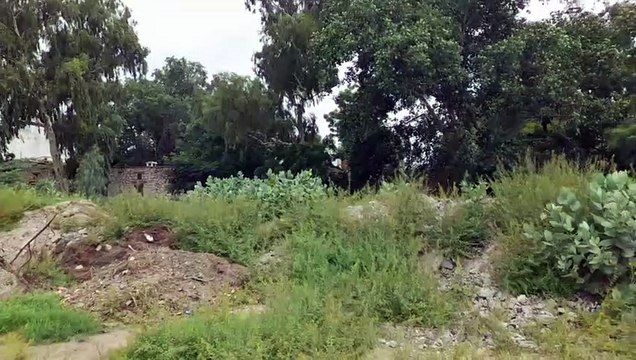 Rajiv Gandhi Rural and Urban Olympics: चौका लगा तो बॉल गुम, मिट्टी के धोरों पर फिल्डिंग