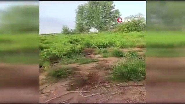 Adana'da geri dönüşüm tesisinde yangın: Dumanlar kilometrelerce uzaktan görüldü