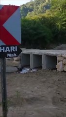 Fatsa'da dereye tarihi geçmiş tavukları atan firmaya 617 lira ceza kesildi