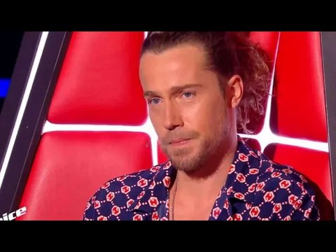 Julien Doré rassuréle :chanteur partage des nouvelles réjouissantes de la convalescence de son chien