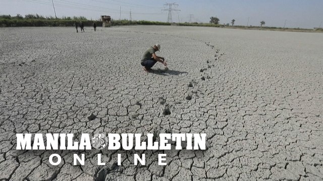 Water-stressed Iraq dries up fish farms