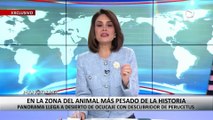 ¡Exclusivo! En la zona del animal más pesado de la historia: Panorama llega a desierto de Ocucaje con descubridor de “Perucetus”