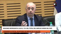 Misiones representa casi el 15% del total del empleo verde del país