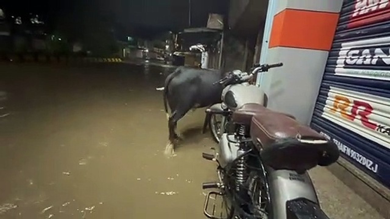 Video Story - सावन की झड़ी : बारिश से शहर हुआ प...