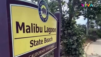 Terungkap Misteri Mayat Dalam Tong di Pantai Malibu Californ