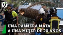 Muere una mujer al caerle encima una palmera en el Raval de Barcelona
